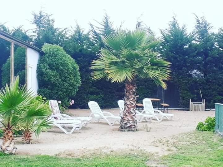 Hotel Del Valle Quilimari Pichidangui Εξωτερικό φωτογραφία